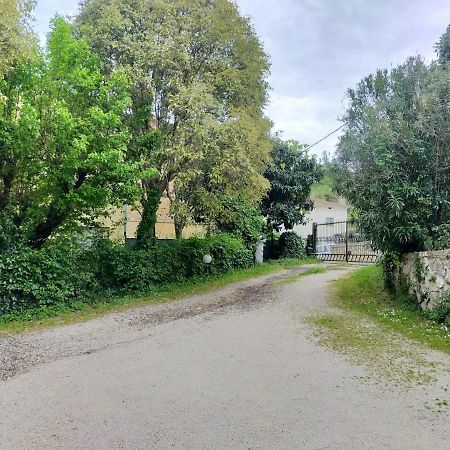 Ferienwohnung Casina Gentili Perugia Exterior foto